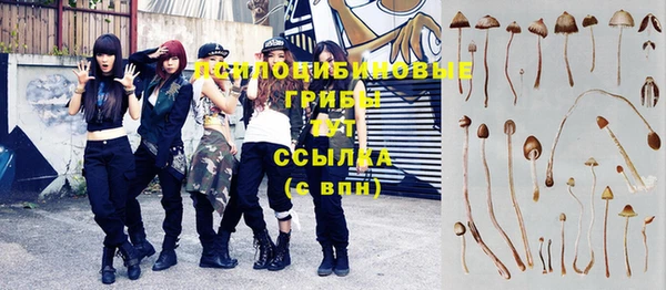соль ск Балахна