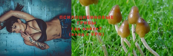 соль ск Балахна