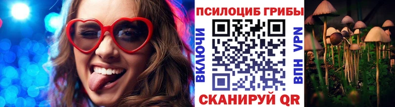 Галлюциногенные грибы MAGIC MUSHROOMS  Гатчина 